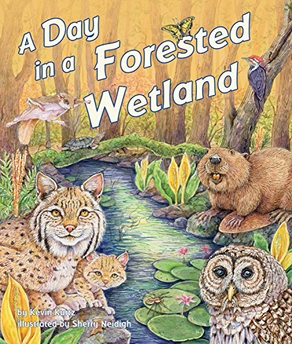 A Day in a Forested Wetland - Paperback