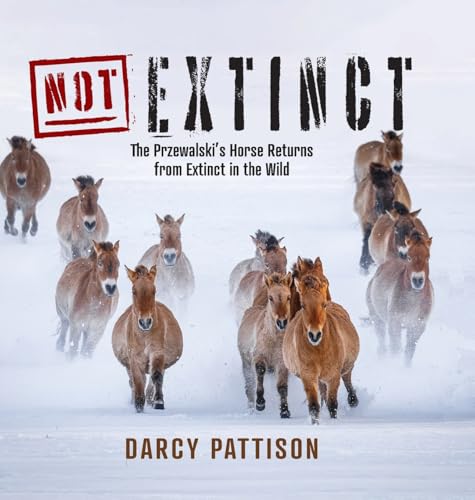 NOT Extinct: The Przewalski's Horse Returns from Extinct in the Wild - Hardcover