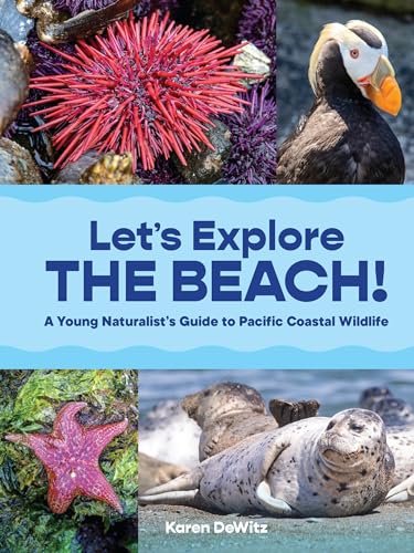 Let's Explore the Beach!: A Young Naturalist's Guide to Pacific Coastal Wildlife - Paperback