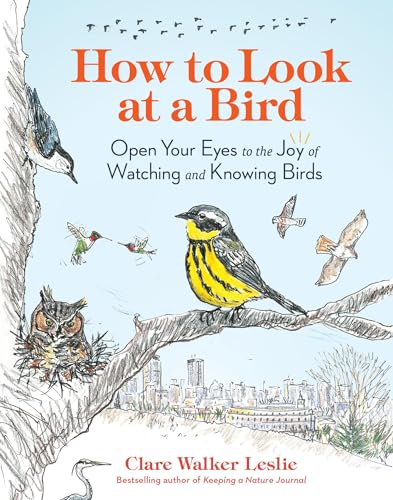 How to Look at a Bird: Open Your Eyes to the Joy of Watching and Knowing Birds - Paperback