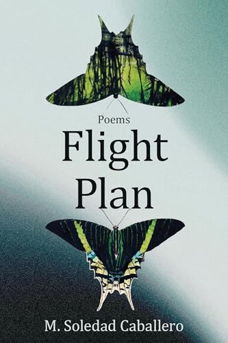Flight Plan: Poems - Paperback