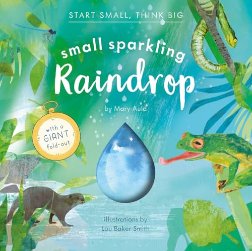 Small Sparkling Raindrop (Start Small, Think Big #5) - Hardcover