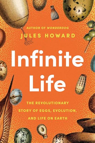 Infinite Life: The Revolutionary Story of Eggs, Evolution, and Life on Earth - Hardcover