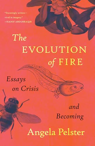 The Evolution of Fire: Essays on Crisis and Becoming - Paperback