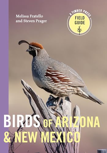 Birds of Arizona and New Mexico - Paperback