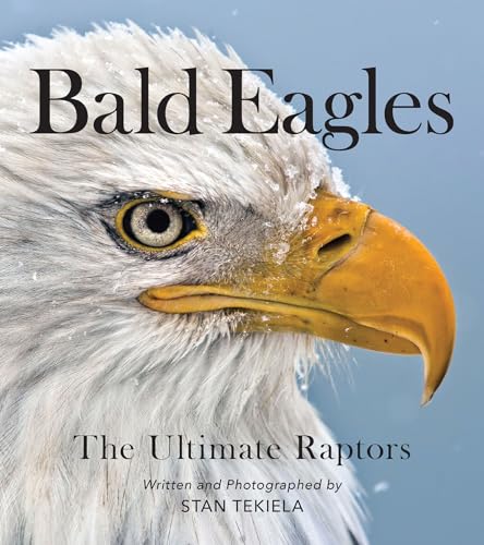 Bald Eagles: The Ultimate Raptors - Paperback