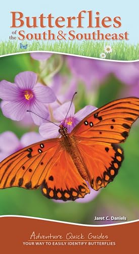Butterflies of the South & Southeast: Your Way to Easily Identify Butterflies - Spiral