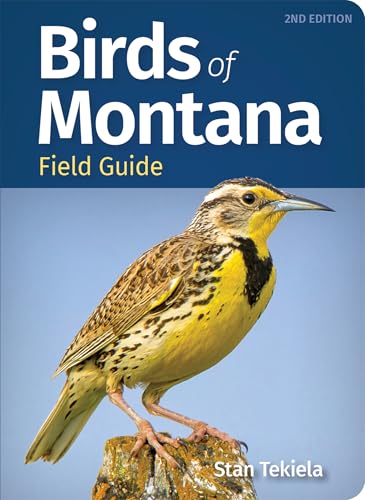 Birds of Montana Field Guide - Paperback
