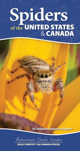 Spiders of the United States & Canada: Easily Identify 158 Common Species - Spiral