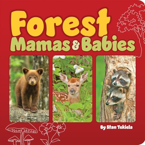 Forest Mamas & Babies - Board Books