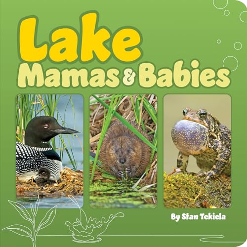 Lake Mamas & Babies - Board Books