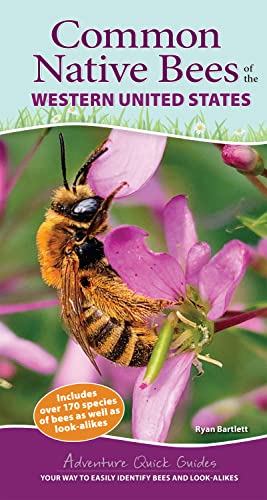 Common Native Bees of the Western United States: Your Way to Easily Identify Bees and Look-Alikes - Spiral