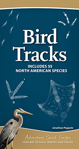 Bird Tracks: Includes 55 North American Species - Spiral