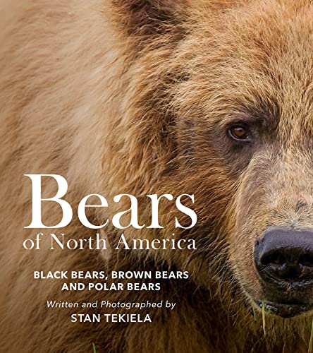 Bears of North America: Black Bears, Brown Bears, and Polar Bears - Paperback