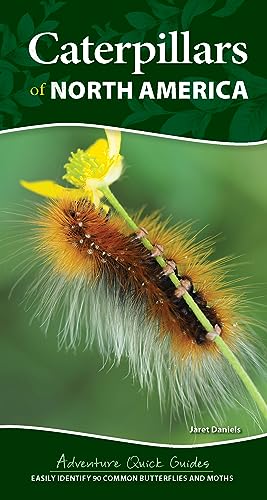 Caterpillars of North America: Easily Identify 90 Common Butterflies and Moths - Spiral
