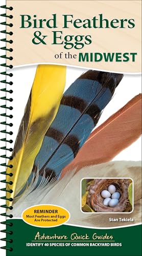 Bird Feathers & Eggs of the Midwest: Identify 40 Species of Common Backyard Birds - Spiral
