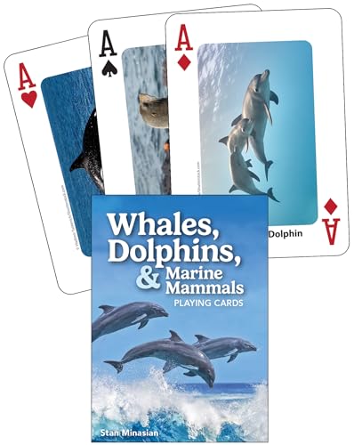 Whales, Dolphins, & Marine Mammals Playing Cards - Other