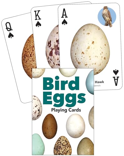 Bird Eggs Playing Cards - Other