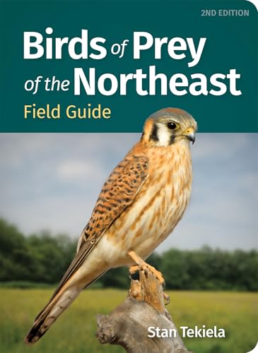 Birds of Prey of the Northeast Field Guide - Paperback