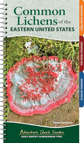 Common Lichens of the Eastern United States: Easily Identify 58 Widespread Types - Spiral