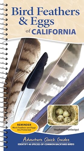 Bird Feathers & Eggs of California: Identify 40 Species of Common Backyard Birds - Spiral
