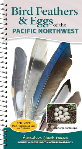 Bird Feathers & Eggs of the Pacific Northwest: Identify 40 Species of Common Backyard Birds - Spiral