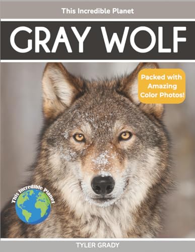 Gray Wolf: Fascinating Animal Facts for Kids - Paperback