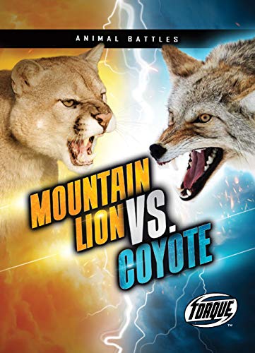 Mountain Lion vs. Coyote - Paperback