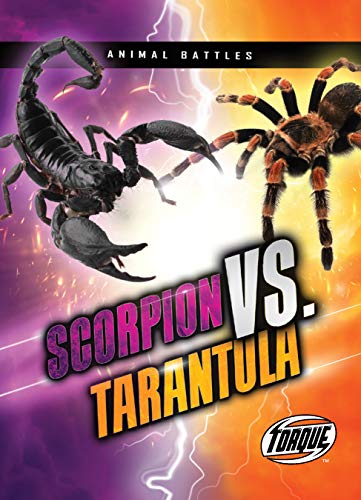 Scorpion vs. Tarantula - Paperback