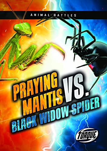 Praying Mantis vs. Black Widow Spider - Paperback