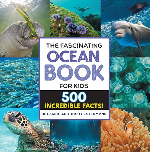 The Fascinating Ocean Book for Kids: 500 Incredible Facts! - Paperback