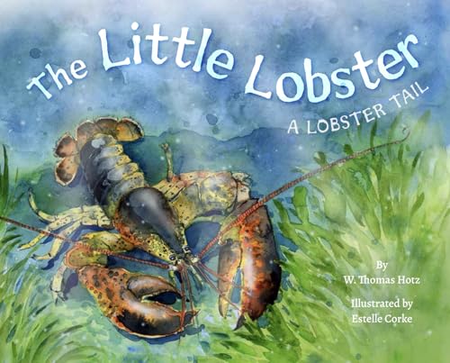 The Little Lobster - Hardcover