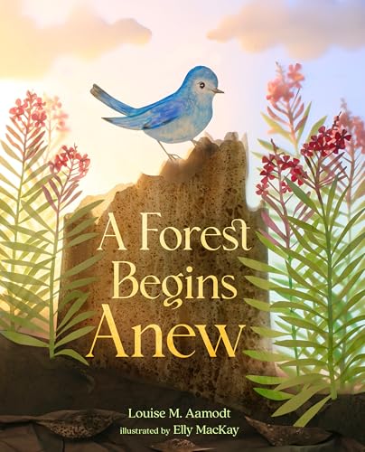 A Forest Begins Anew - Hardcover