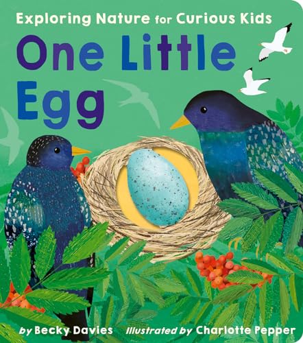 One Little Egg: Exploring Nature for Curious Kids - Board Books