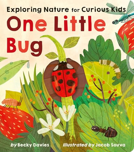 One Little Bug: Exploring Nature for Curious Kids - Board Books