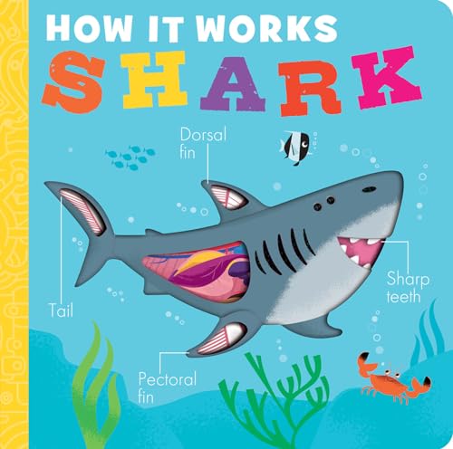 How It Works: Shark - Board Books