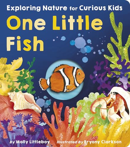 One Little Fish: Exploring Nature for Curious Kids - Board Books
