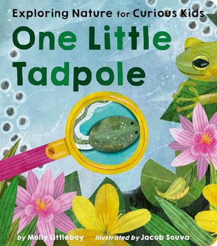 One Little Tadpole: Exploring Nature for Curious Kids - Board Books