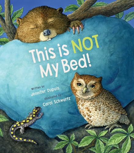 This Is Not My Bed! - Hardcover