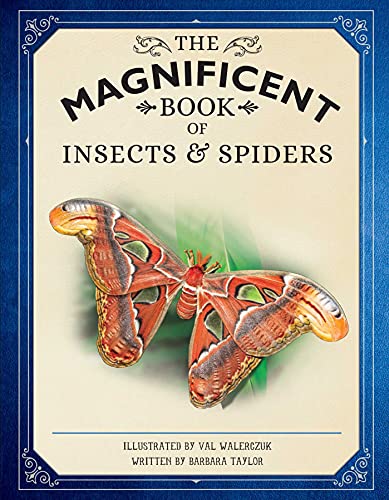 The Magnificent Book of Insects and Spiders - Hardcover