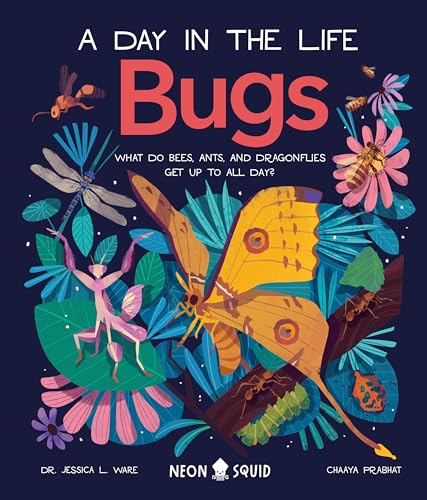 Bugs (a Day in the Life): What Do Bees, Ants, and Dragonflies Get Up to All Day? - Hardcover