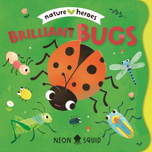 Brilliant Bugs (Nature Heroes) - Board Books