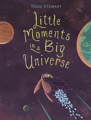 Little Moments in a Big Universe - Hardcover