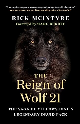 The Reign of Wolf 21: The Saga of Yellowstone's Legendary Druid Pack - Hardcover