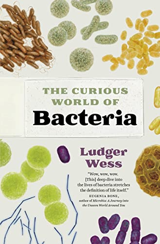 The Curious World of Bacteria - Hardcover