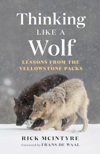 Thinking Like a Wolf: Lessons from the Yellowstone Packs - Hardcover