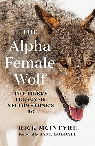 The Alpha Female Wolf: The Fierce Legacy of Yellowstone's 06 - Paperback