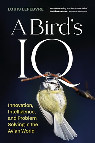 A Bird's IQ: Innovation, Intelligence, and Problem Solving in the Avian World - Hardcover