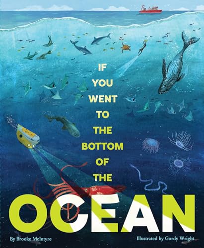 If You Went to the Bottom of the Ocean - Hardcover