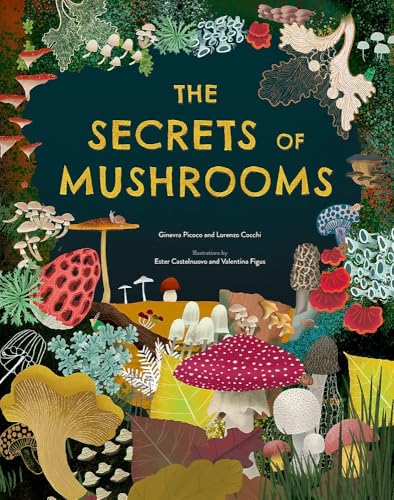 The Secrets of Mushrooms - Hardcover